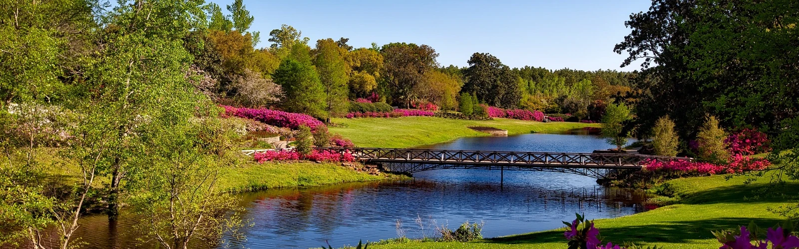 Uncover the Best Attractions and Activities in Hartselle, AL